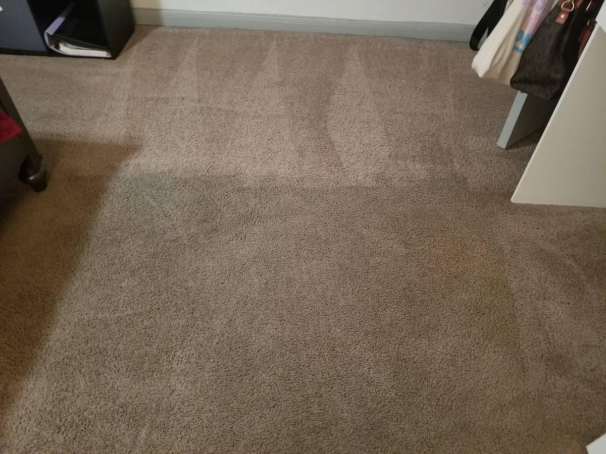 Carpet cleaning technician in a Humble, TX living room