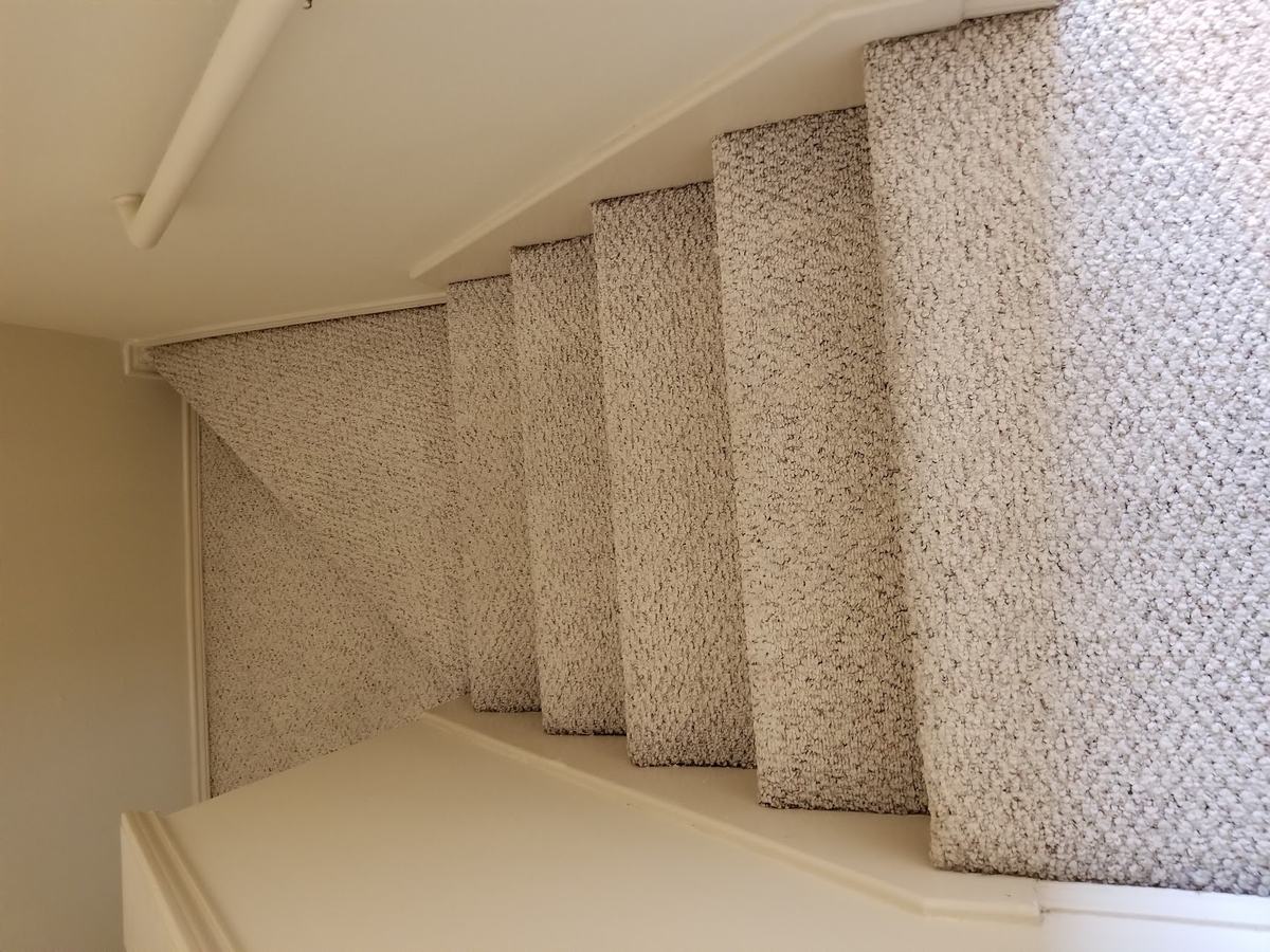 D-Max Carpet Care service van in the Champions area of Houston, TX