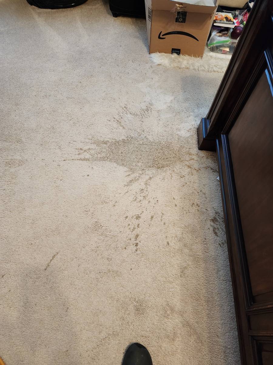 D-Max technician steam cleaning a Houston living-room carpet