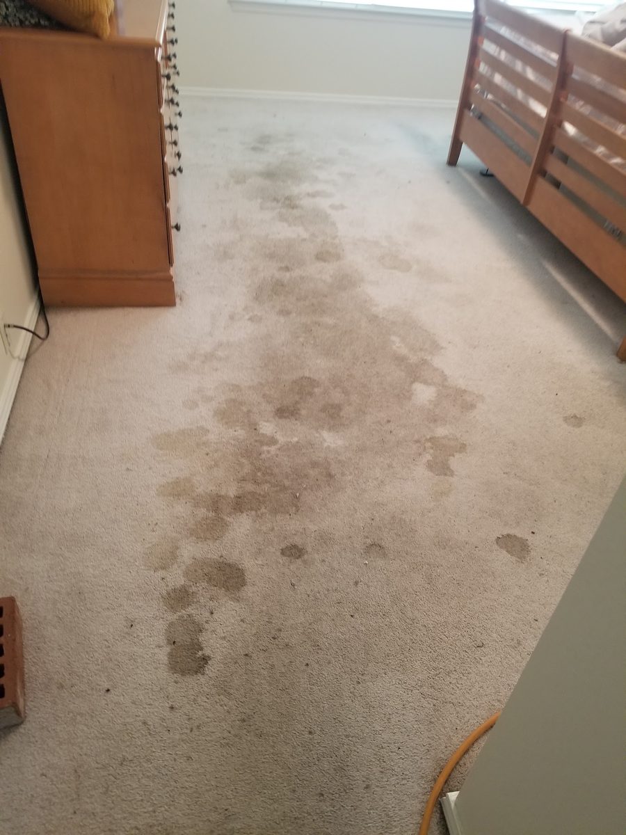 Truck-mounted carpet cleaning in Tomball, TX