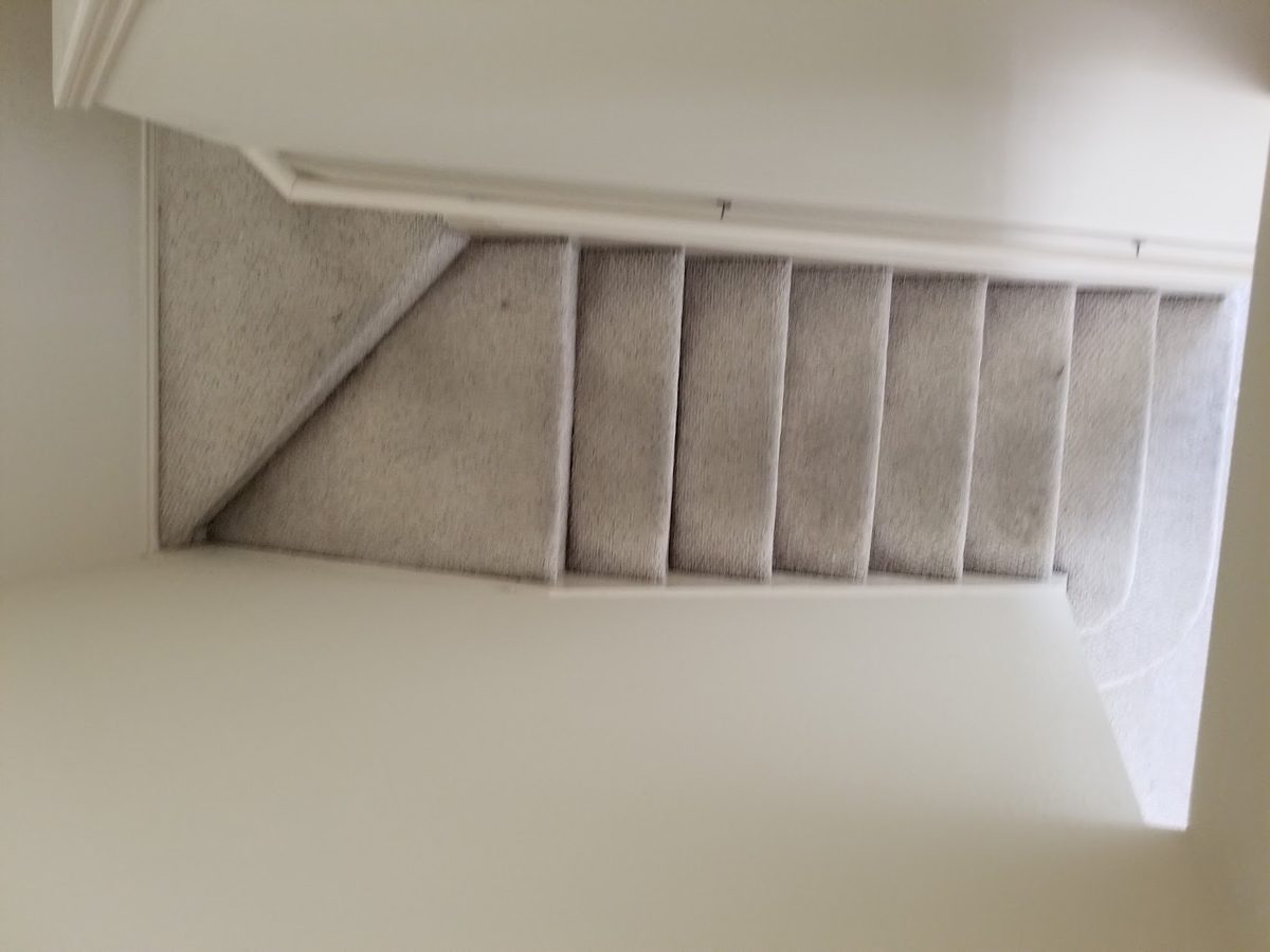 D-Max Carpet Care truck-mounted carpet cleaning in a Klein, TX home