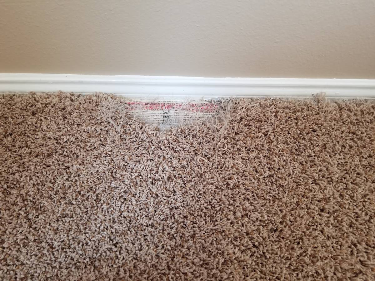 Steam carpet cleaning in a Kingwood, TX home
