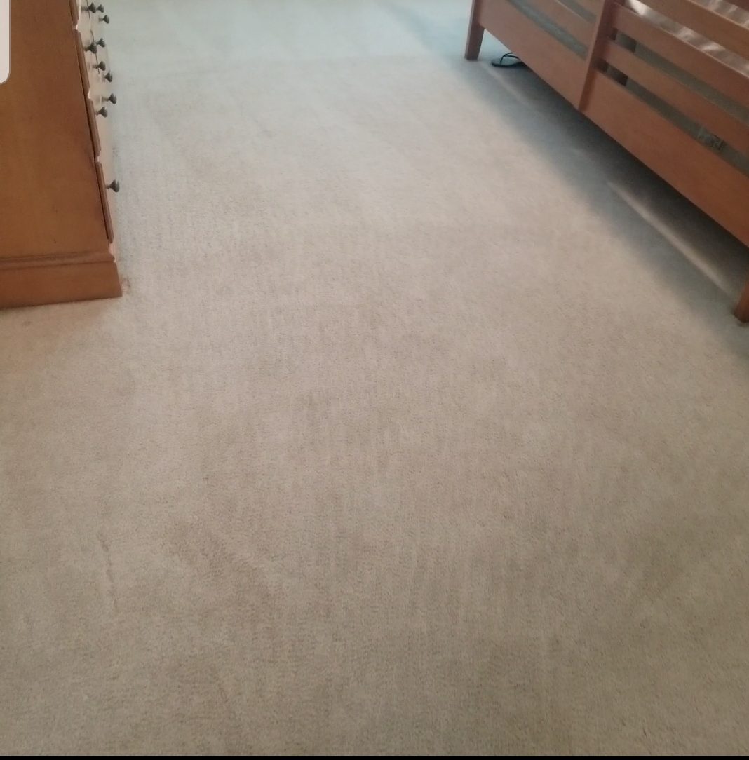 UV inspection of pet urine stains on Houston home carpet